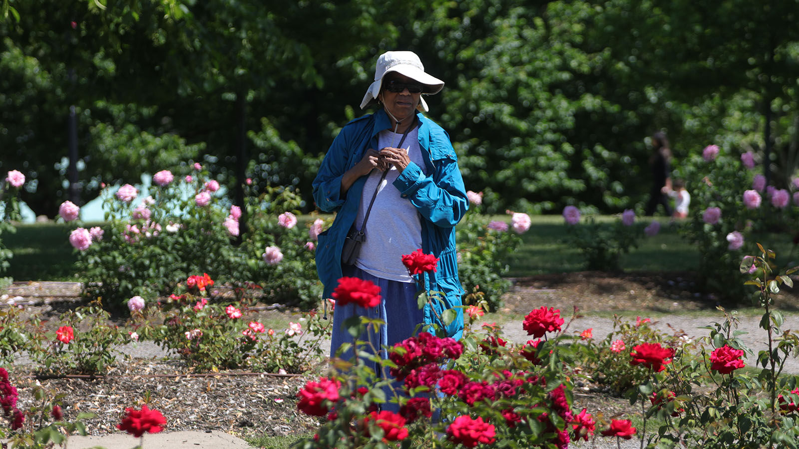 Bell Delaware Park Rose Garden